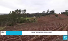 Terres des indigènes au Brésil : plus de 6 000 membres des 170 tribus manifestent à Brasilia
