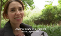 Lutte contre les rats à Paris: dédiabolisation ou pièges connectés