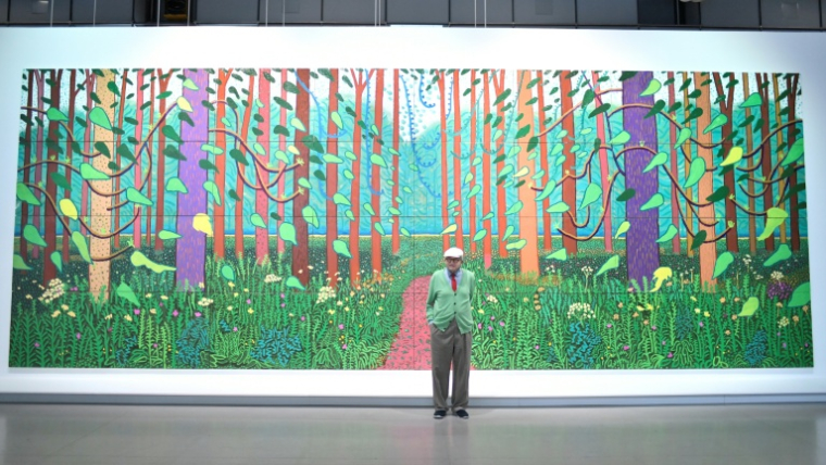 David Hockney au Centre Pompidou à Paris le 26 septembre 2017 ( AFP / STEPHANE DE SAKUTIN )