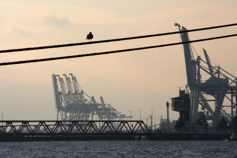 Vue du port du Havre. ( AFP / KENZO TRIBOUILLARD )