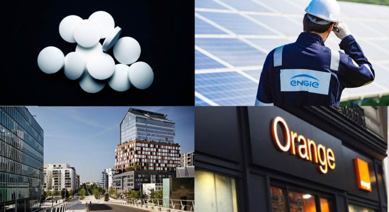 Plusieurs poids lourds de la cote pourrait céder des activités. (© DR)