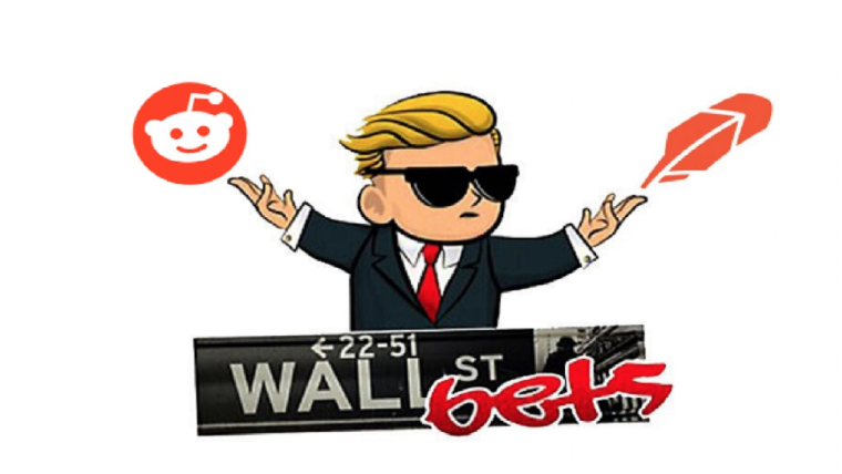 DTexpert
