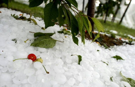 Des orages de grêle et de fortes pluies se sont abattus dans le Sud-Ouest lundi en fin de journée ( AFP / FABRICE COFFRINI )