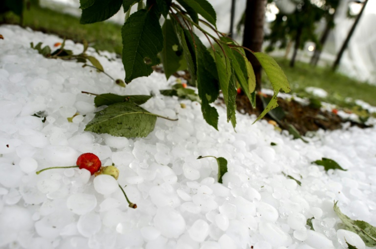 Des orages de grêle et de fortes pluies se sont abattus dans le Sud-Ouest lundi en fin de journée ( AFP / FABRICE COFFRINI )