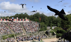 Un spectacle au parc historique du Puy du Fou, aux Epesses, le 14 août 2018 en Vendée ( AFP / SEBASTIEN SALOM GOMIS )