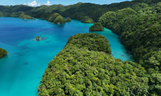 Le lagon dit de la Voie lactée, dans l’archipel de Palau, en Micronésie. (crédit: Adobe Stock)