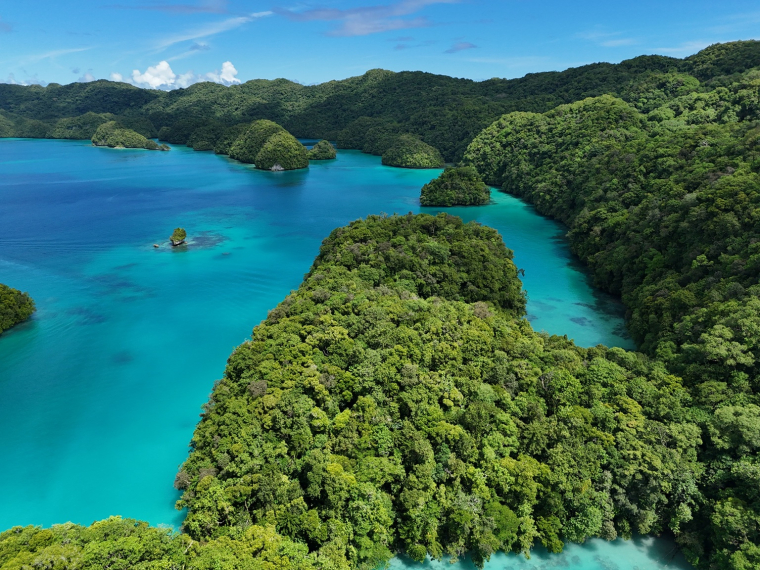 Le lagon dit de la Voie lactée, dans l’archipel de Palau, en Micronésie. (crédit: Adobe Stock)