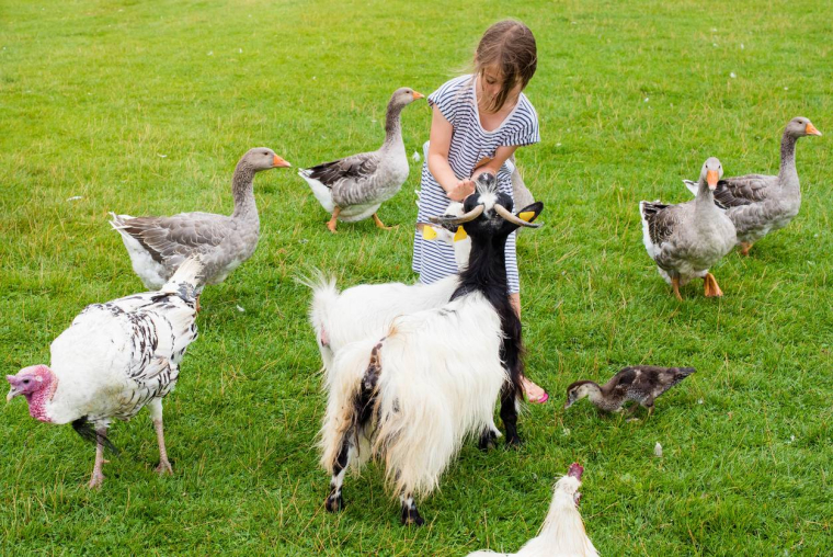 Des vacances à la ferme - iStock-DEBOVE SOPHIE