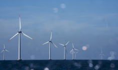 Champs éolien Ørsted Orsted au large de Gedser (Danemark)en mer Baltique ( Ritzau Scanpix/AFP / THOMAS TRAASDAHL )
