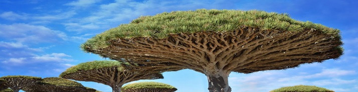 SCPI Cap Foncières et Territoires : la valeur de reconstitution reste supérieure au prix de souscription