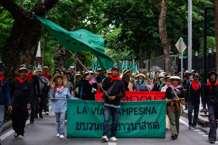 Des manifestants manifestent contre le Fonds monétaire international (FMI) et la Banque mondiale à Bangkok, le 16 octobre 2026 ( AFP / ANTHONY WALLACE )