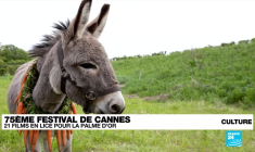 Festival de Cannes : la guerre en Ukraine sur les écrans avec "Mariupolis 2"