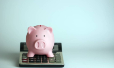 Qu’est-ce que le revenu fiscal de référence ? / iStock.com - serdjophoto