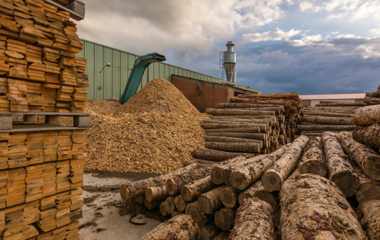 Bois dans une scierie. (Crédits: Adobe Stock)