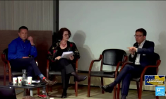 Recharger les batteries et voter à l'étranger ! Pourquoi pas en Roumanie ?