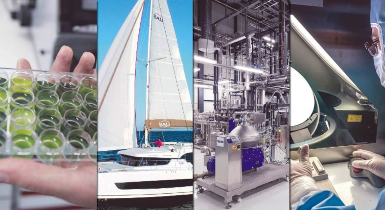 Rapides et flexible, ces financements conviennent aux petites entreprises en quête d'argent frais. (© Fermentalg / Catana / Global Bioenergies / C Breschi)