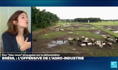 Brésil : les "fake news" de l'agro-industrie
