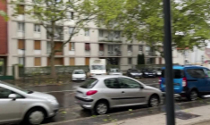 Maisons-Alfort: des arbres arrachés au lendemain d'un orage fulgurant