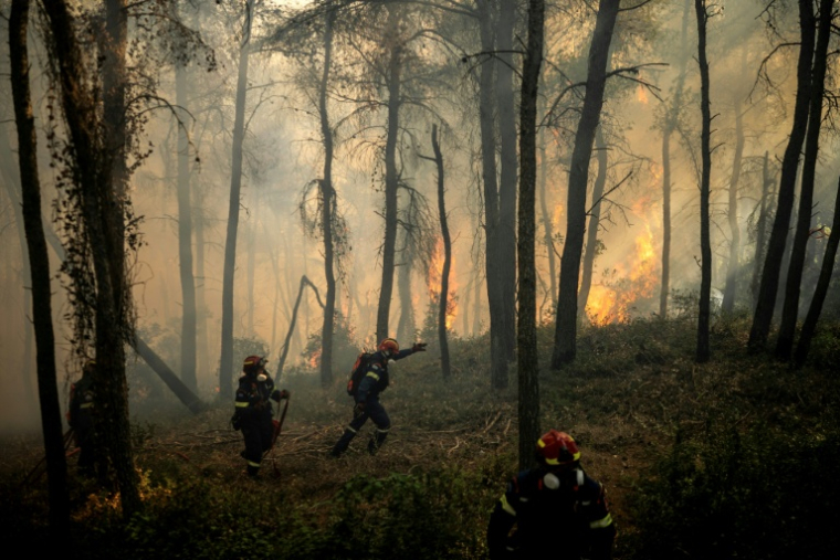 Des pompiers grecs tentent d’éteindre un incendie de forêt dans la région de Porto Germeno, à quelque 70 kilomètres au nord-ouest d’Athènes, dans la région de la Viotia, le 2 août 2026 ( AFP / Angelos TZORTZINIS )