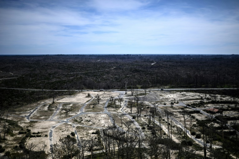 Un camping abandonné, détruit par les incendies de forêt de l'été 2022, à l'arrière de la dune du Pilat, le 19 mars 2025 à La Teste-de-Buch, en Gironde ( AFP / Christophe ARCHAMBAULT )