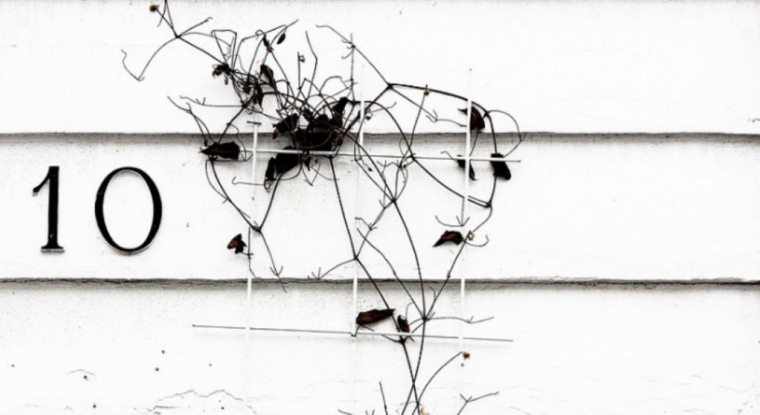 Profitez des offres de primes lors d'une première souscription d'un contrat d'assurance vie sur Internet. Le Revenu vous conseille. (© cc Amanda Graham)