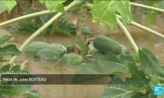 Typhon au Vietnam : au moins 197 morts et 128 disparus