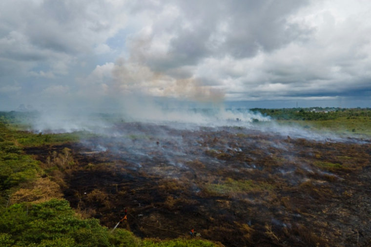 Un incendie dans une forêt de tourbières transformée en plantations de palmiers à huile à Meulaboh, dans la province indonésienne d'Aceh, le 15 février 2025 ( AFP / CHAIDEER MAHYUDDIN )