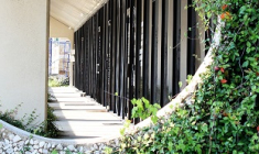 Label ISR : la tendance verte des SCPI et des OPCI