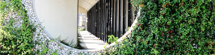 Label ISR : la tendance verte des SCPI et des OPCI