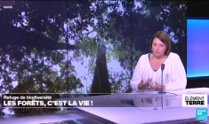 Les forêts: un milieu précieux pour la biodiversité