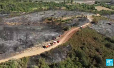 Incendie en Californie : 3 000 pompiers combattent un feu de forêt "explosif"