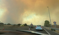 Incendies en Espagne : des chevaux évacués dans la région de Madrid