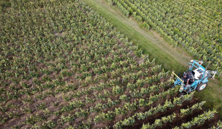 LA PRODUCTION AGRICOLE POURRAIT CHUTER JUSQU'À 30% CETTE ANNÉE