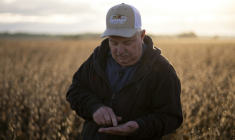 L'agriculteur Travis Hutchison examine des graines de soja dans un champ à Cordova, dans le Maryland, le 10 octobre 2025 ( AFP / ROBERTO SCHMIDT )