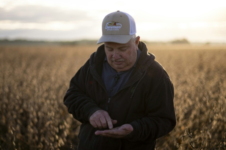 L'agriculteur Travis Hutchison examine des graines de soja dans un champ à Cordova, dans le Maryland, le 10 octobre 2025 ( AFP / ROBERTO SCHMIDT )