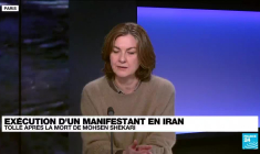 Exécution d'un manifestant en Iran : tollé après la mort de Mohsen Shekari