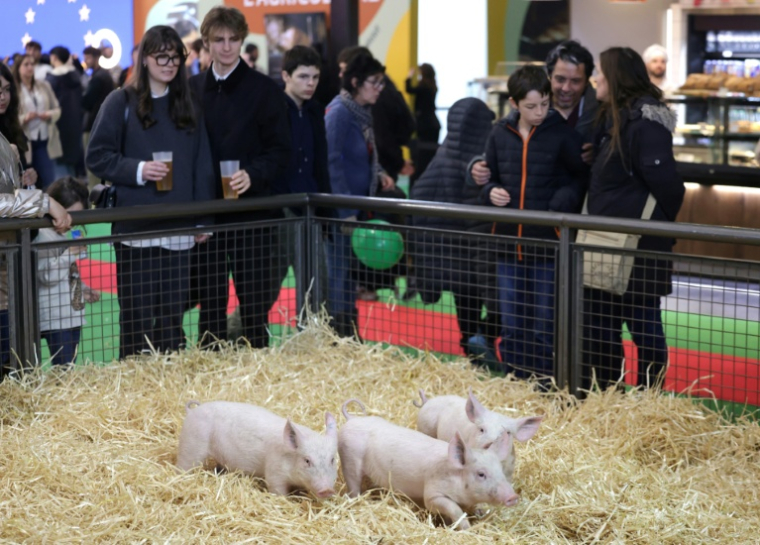 Le Salon de l'Agriculture à Paris le 21 février 2026 ( AFP / Ludovic MARIN )