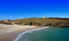 Les ont fortement augmenté depuis 2019 dans l'ouest de la France (illustration). (Pixabay / MarineBrs)