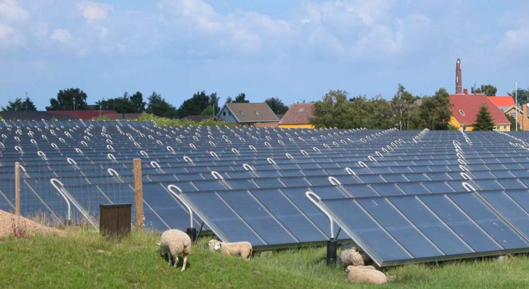 Le Revenu vous présente sa sélection de fonds à forte qualité environnementale. (© DR)