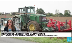 La Commission européenne va renouveler l'autorisation du glyphosate dans l'UE pour 10 ans