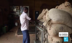 Centrafrique: premières attaques rebelles aux environs de Bangui