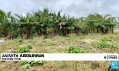 Forum mondial de l’eau au Sénégal : seulement un africain sur quatre a accès à l’eau potable (ONU)