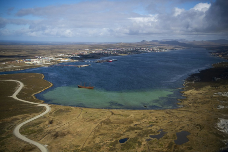 Vue aérienne des îles Malouines le 7 octobre 2019. ( AFP / Pablo PORCIUNCULA )