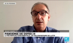 Covid-19 - Recherche fondamentale : "Il y a eu un décrochage qui est visible et questionnable"