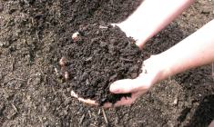 (Crédits photo : Flickr -  )