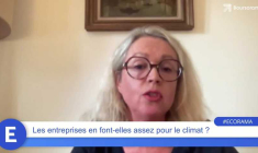 Les entreprises en font-elles assez pour le climat ?
