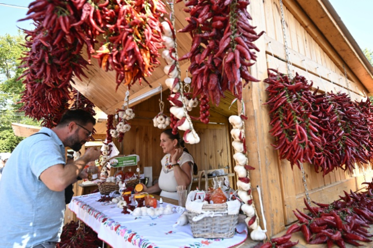 Un client goûte une spécialité à base de paprika lors de la foire annuelle de Kalocsa, dans le sud de la Hongrie, le 19 septembre 2026 ( AFP / Attila KISBENEDEK )