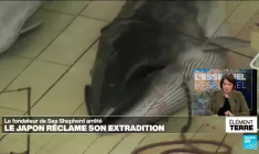 Le fondateur de l'ONG Sea Shepherd sous la menace d'une extradition vers le Japon