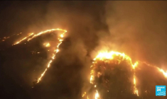 Incendies à Hawaï : un mois et demi après, les sinistrés autorisés à rentrer