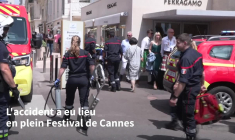 Cannes: un homme "gravement blessé" après la chute d'un palmier